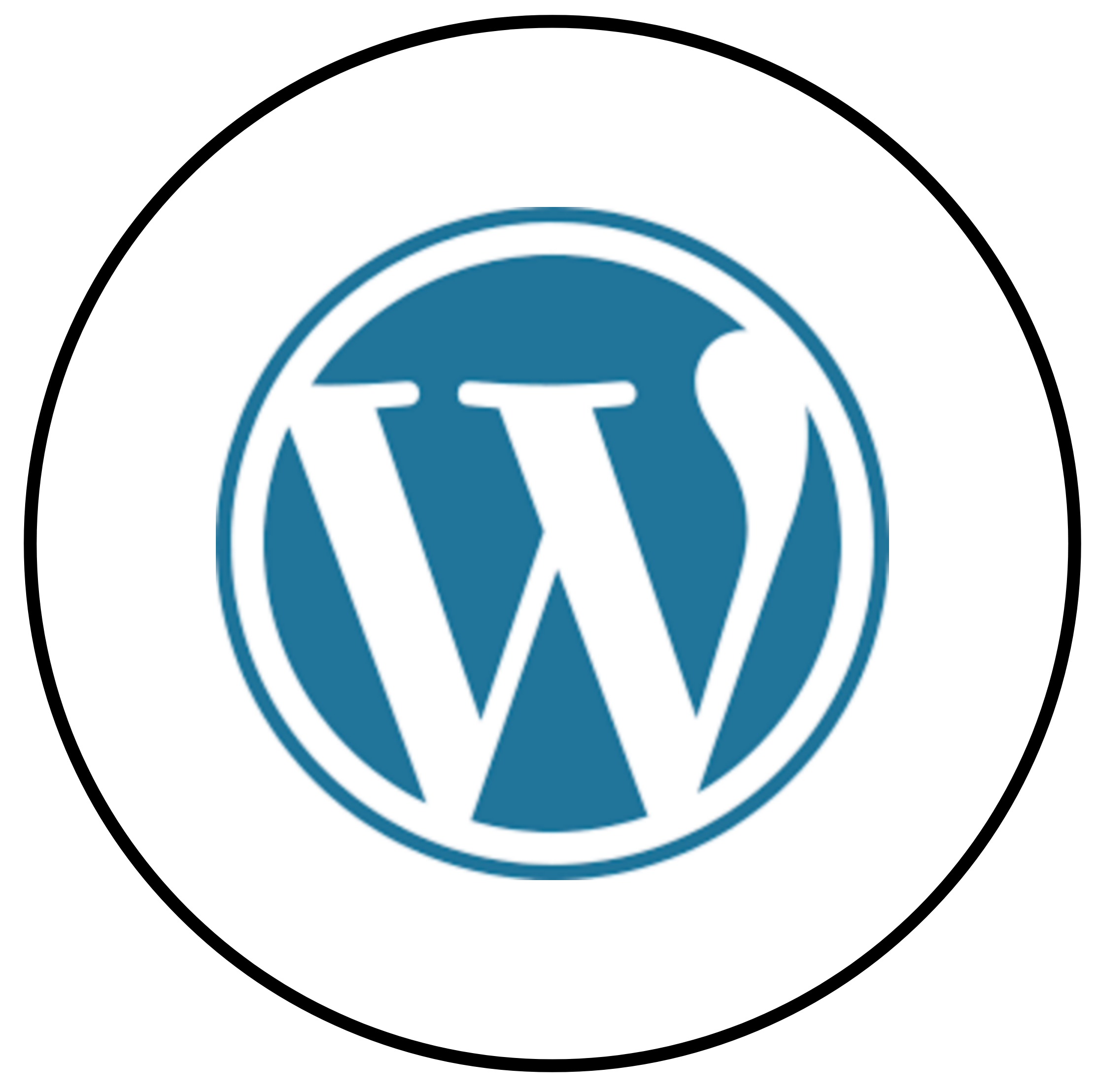 Wordpress